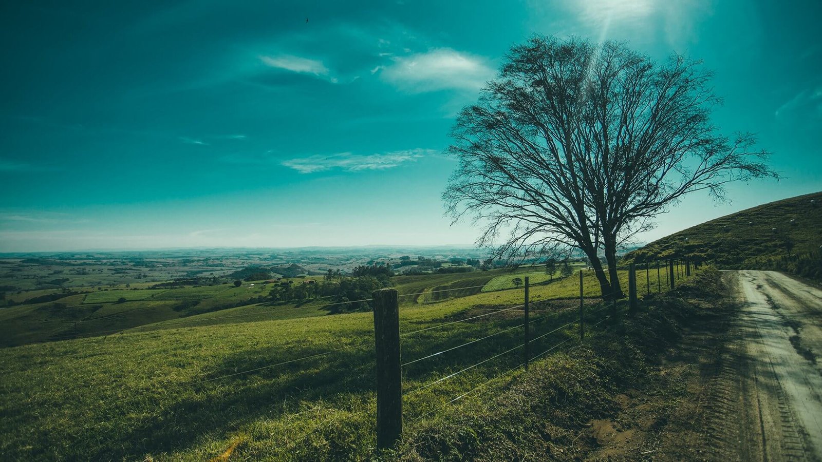 pexels-photo-105221